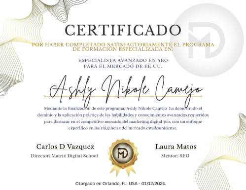 Director Matrix Digital School (1)